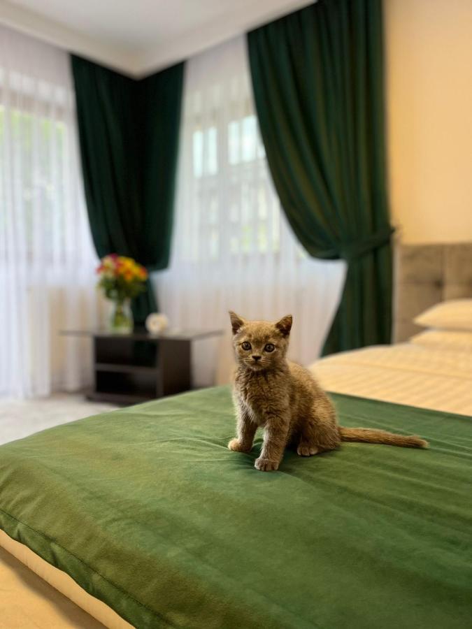 Vila Calimanel Otel Vatra Dornei Dış mekan fotoğraf