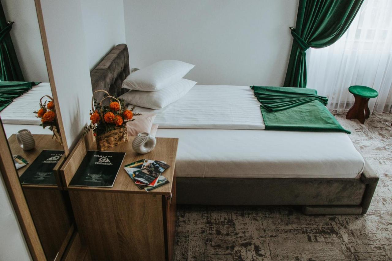 Vila Calimanel Otel Vatra Dornei Dış mekan fotoğraf