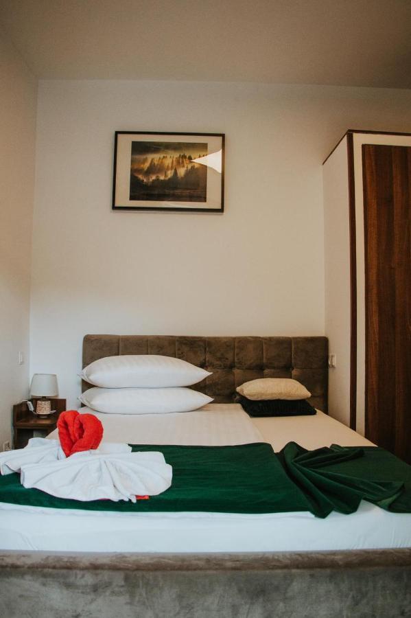 Vila Calimanel Otel Vatra Dornei Dış mekan fotoğraf